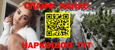 тгк Гусев