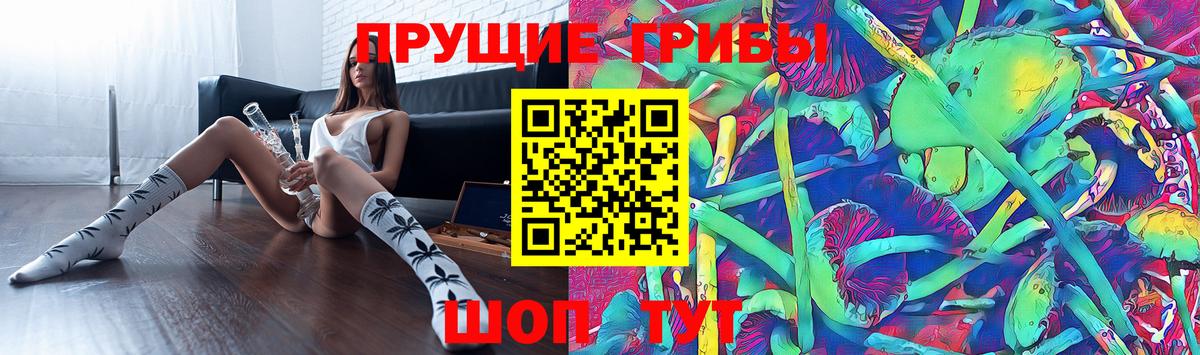 Галлюциногенные грибы GOLDEN TEACHER Нижнекамск